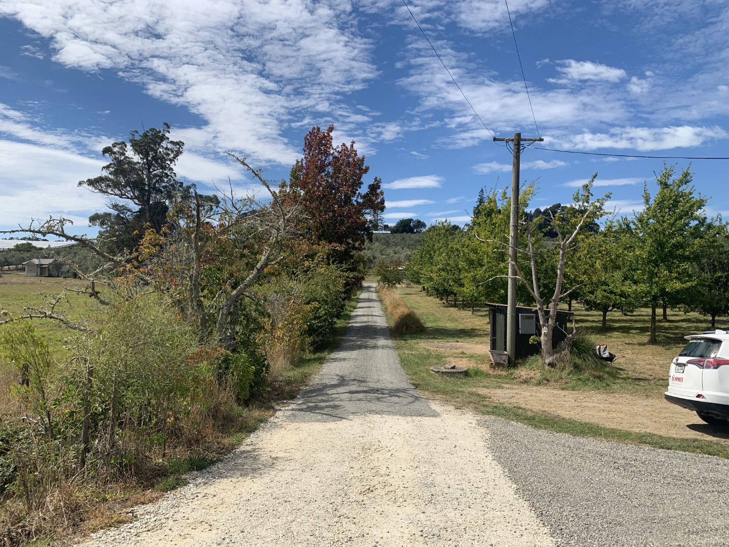 100 Marriages Road (Cottage), Upper Moutere #12 -- listing/10833/RBPI115235.jpeg