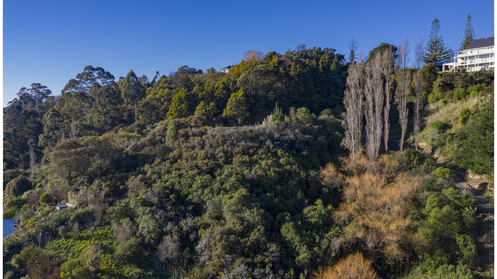 49 Tamaki Street, Tahunanui #9 -- listing/13537/h-v13.jpeg