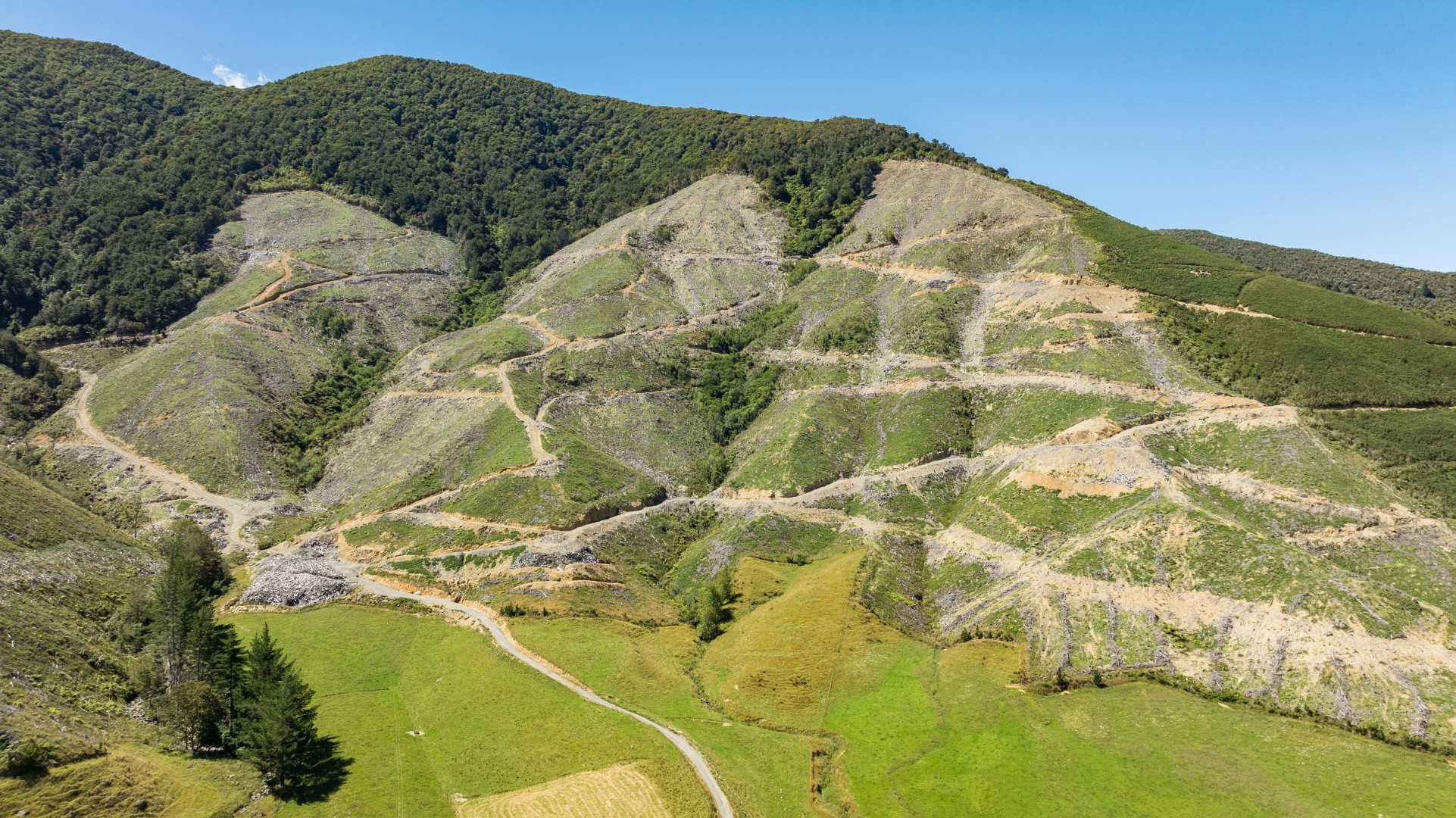 Tunakino Valley, Rai Valley #5 -- listing/14042/d-v10.jpeg