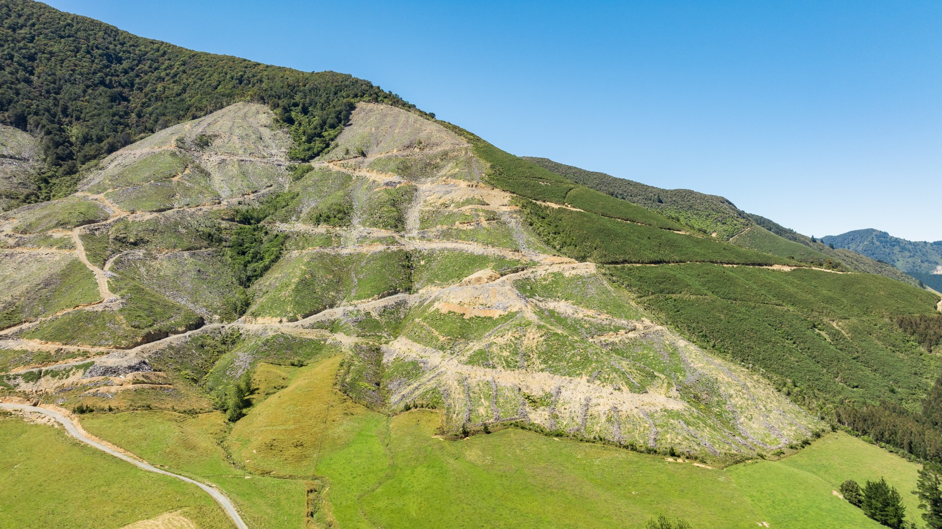 Tunakino Valley, Rai Valley #6 -- listing/14042/e-v10.jpeg