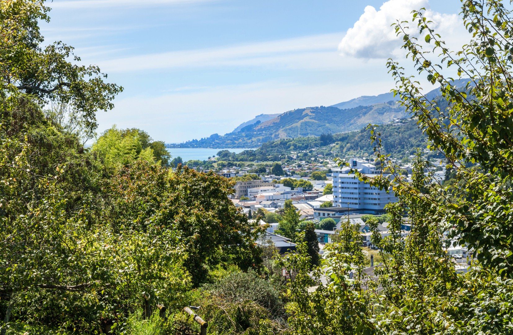 65a Mount Street, Nelson South #1 -- listing/14257/m-v9.jpeg