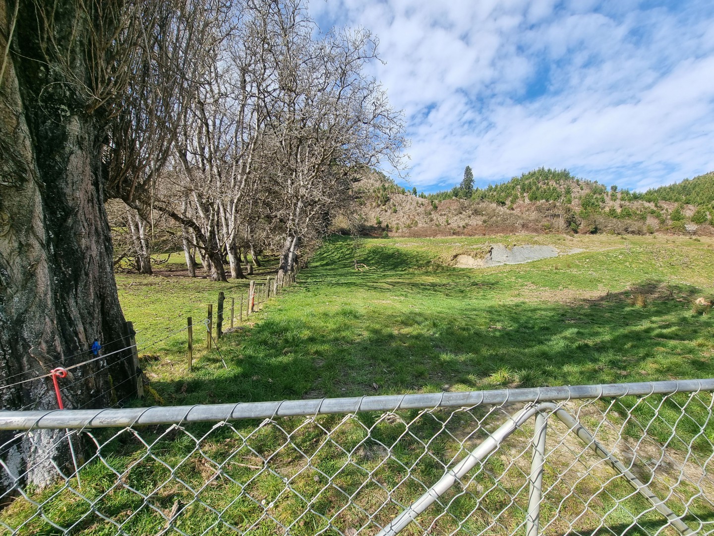 Owen Valley East Road, Murchison #10 -- listing/14364/i-v13.jpeg