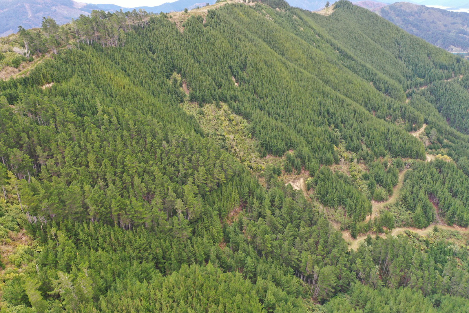 Arapaoa Island - Waikakaramea Bay, Marlborough Sounds #13 -- listing/14638/l-v9.jpeg
