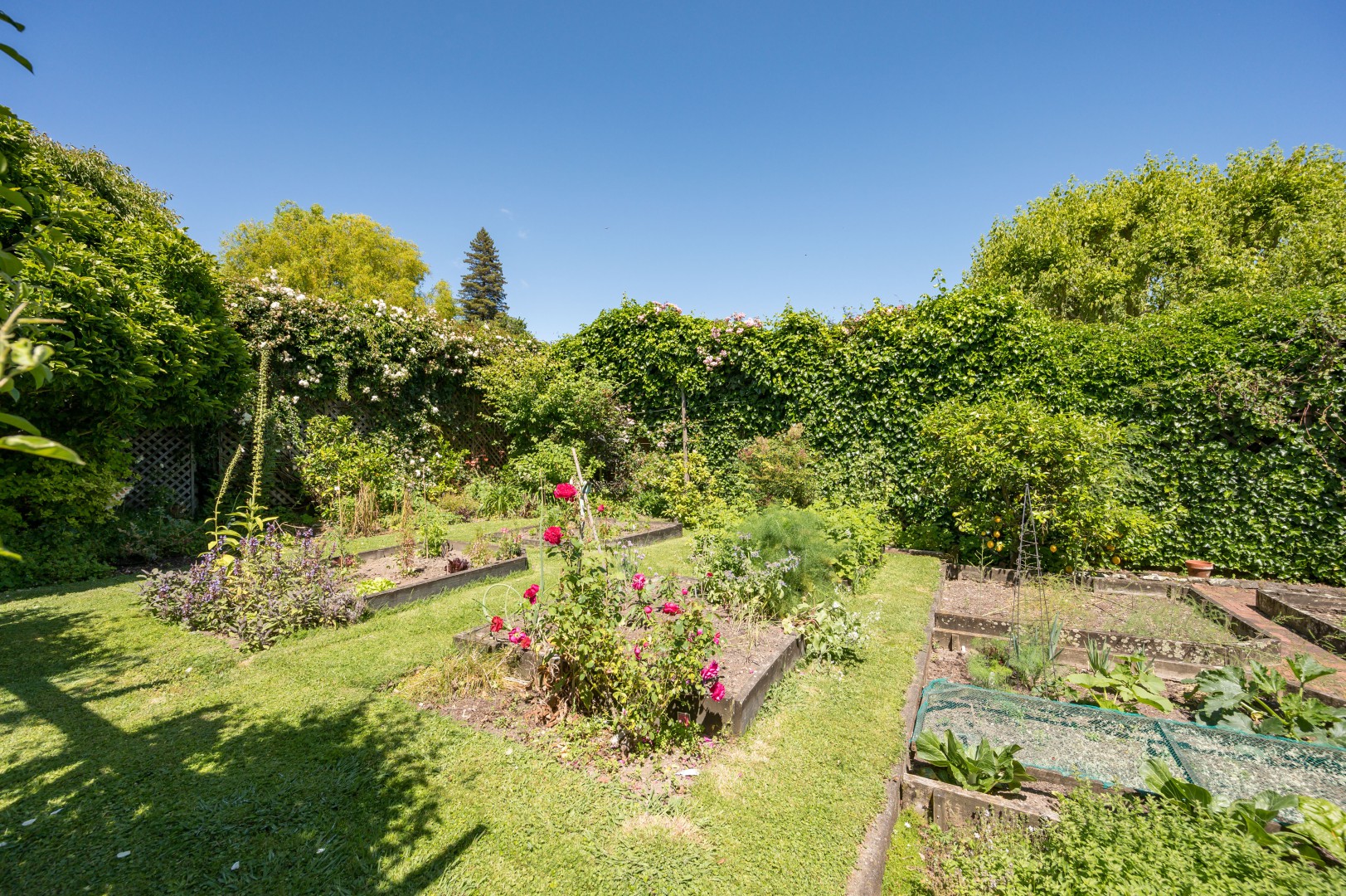 218 Collingwood Street, Nelson South #22 -- listing/15647/v-v4.jpeg