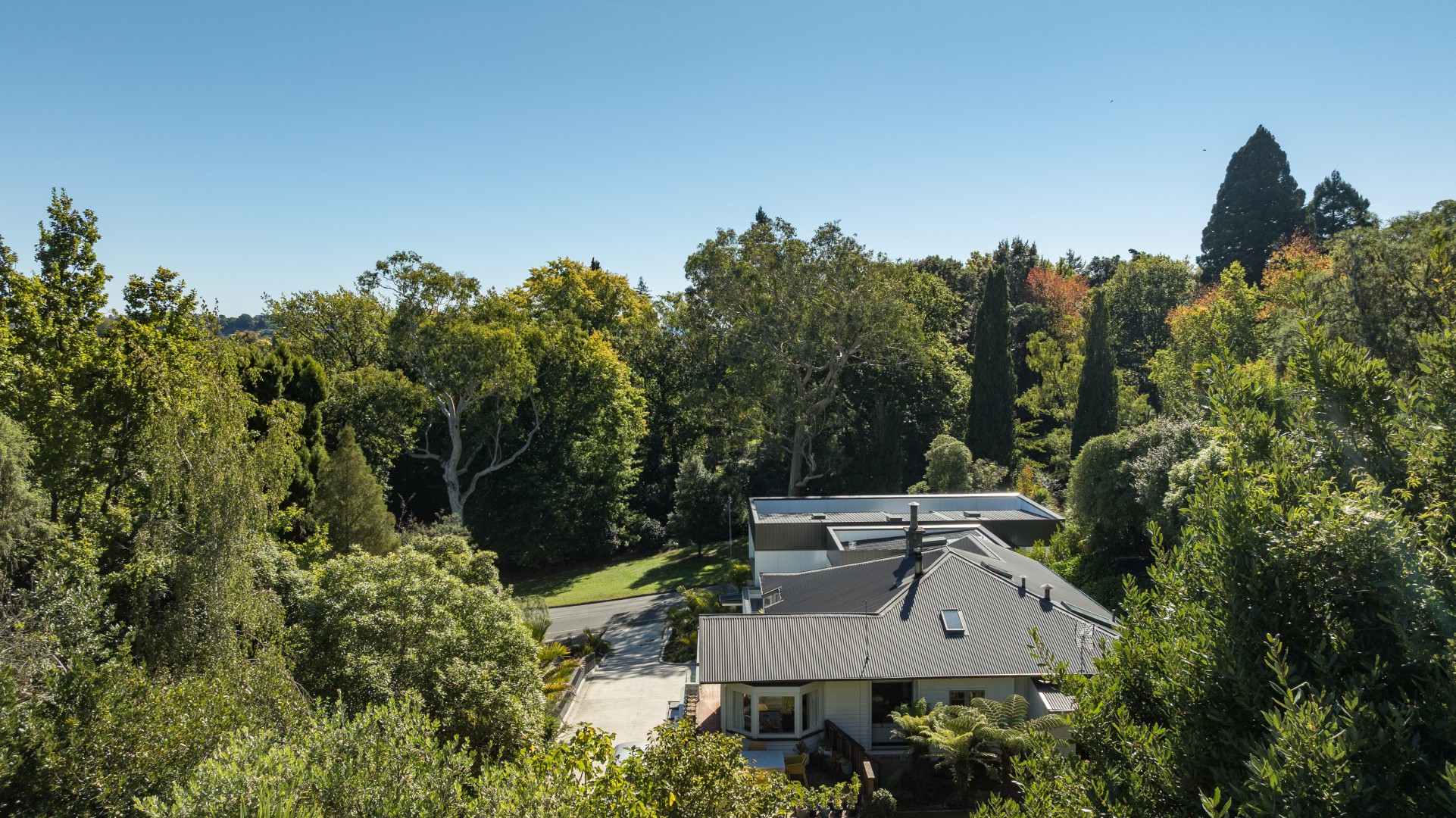 40b Van Diemen Street, Nelson South #3 -- listing/16008/b-v2.jpeg