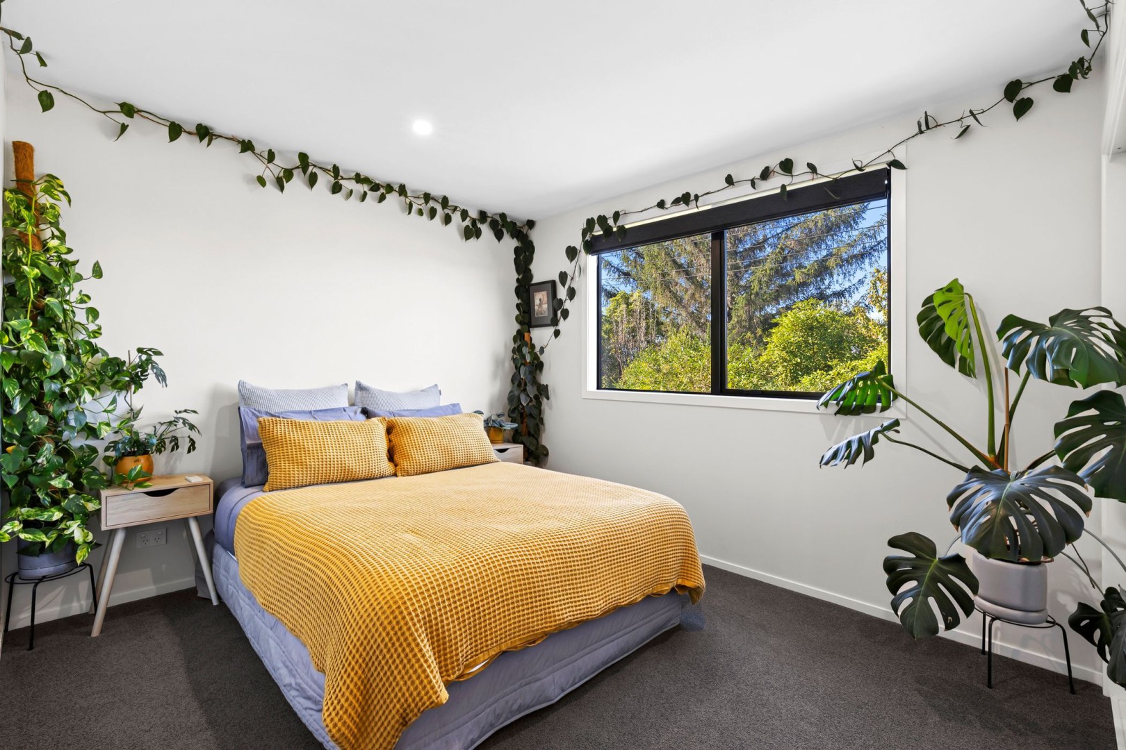 8 Courtney Street East, Motueka #6 -- listing/16083/e.jpeg