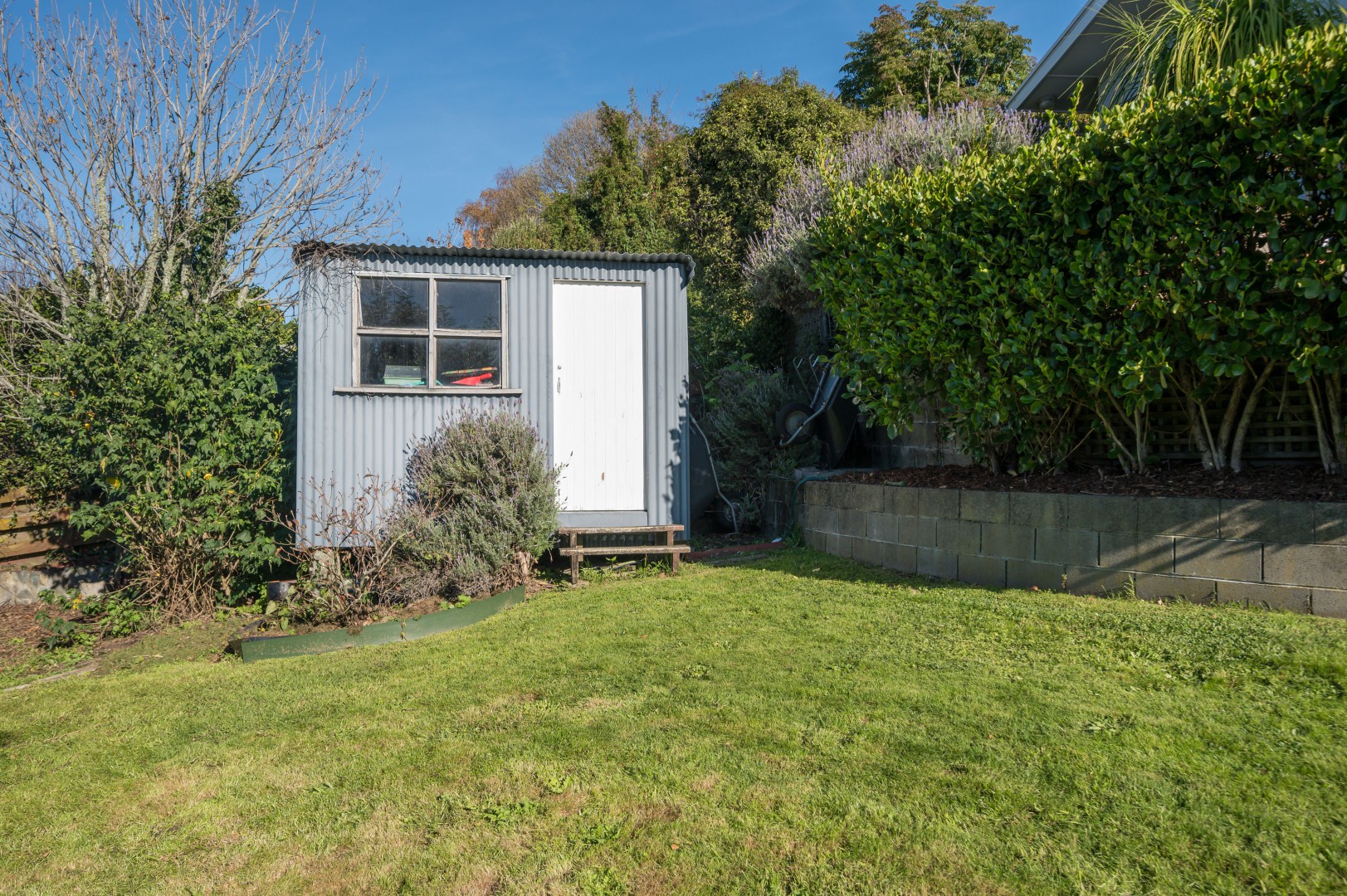 68 Waterhouse Street, Enner Glynn #24 -- listing/16147/x-v2.jpeg