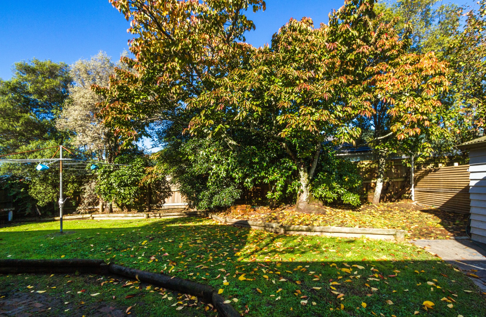 3 Paton Road, Richmond #17 -- listing/16175/q.jpeg