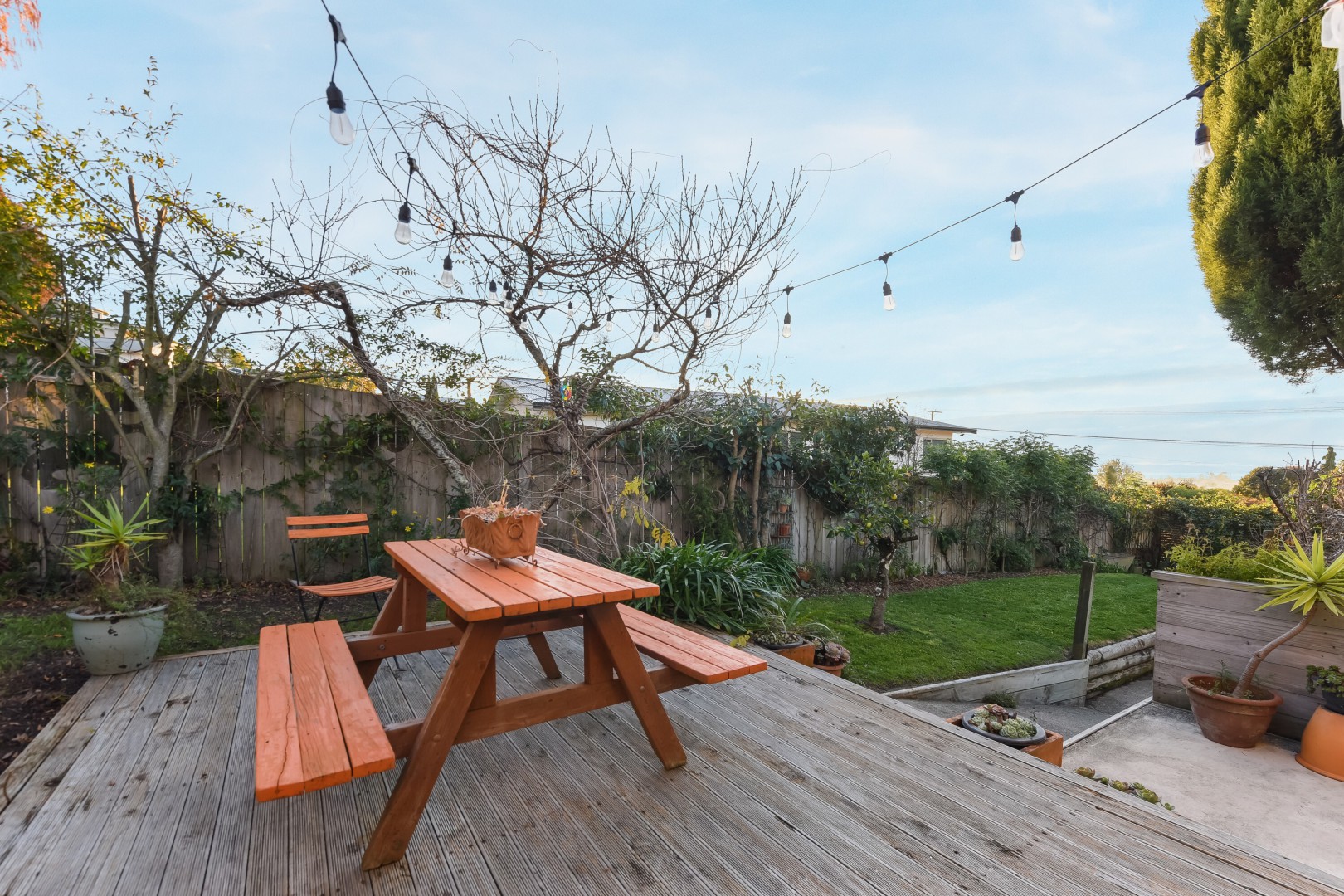 4 Waterhouse Street, Enner Glynn #20 -- listing/16189/t.jpeg