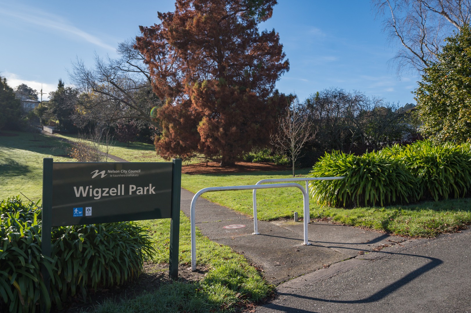 30 Alfred Street, Nelson South #16 -- listing/16206/p.jpeg
