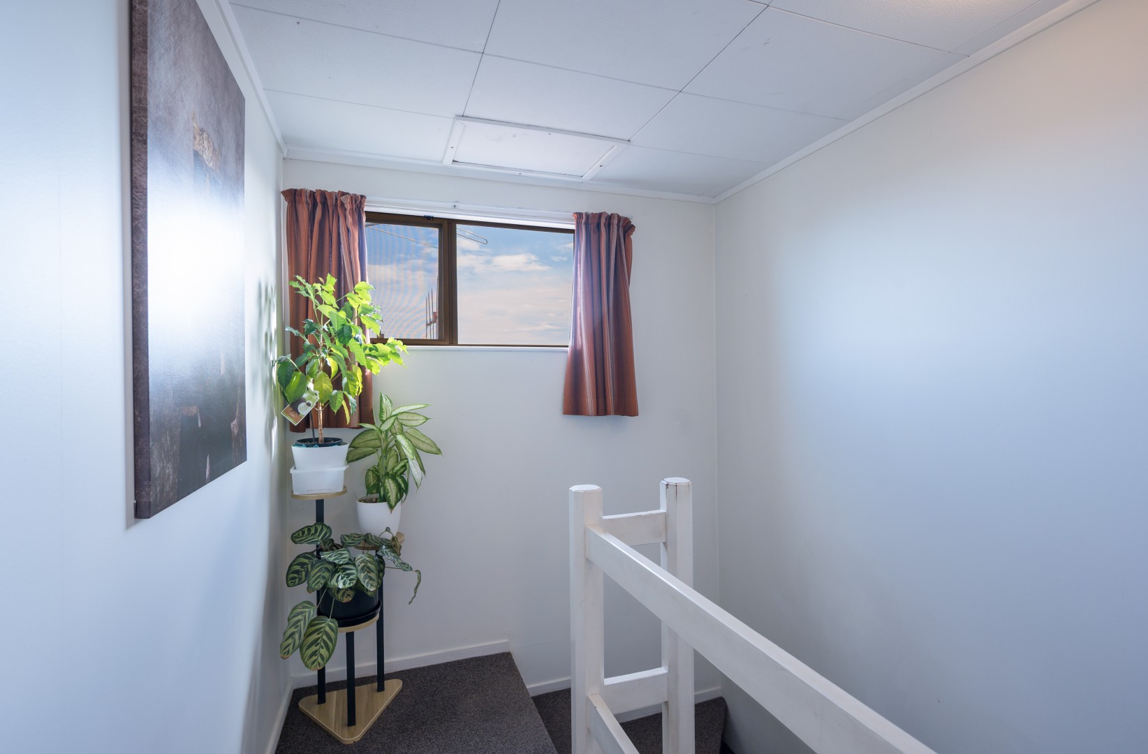 2/3 Exeter Street, Stoke #15 -- listing/16221/o.jpeg