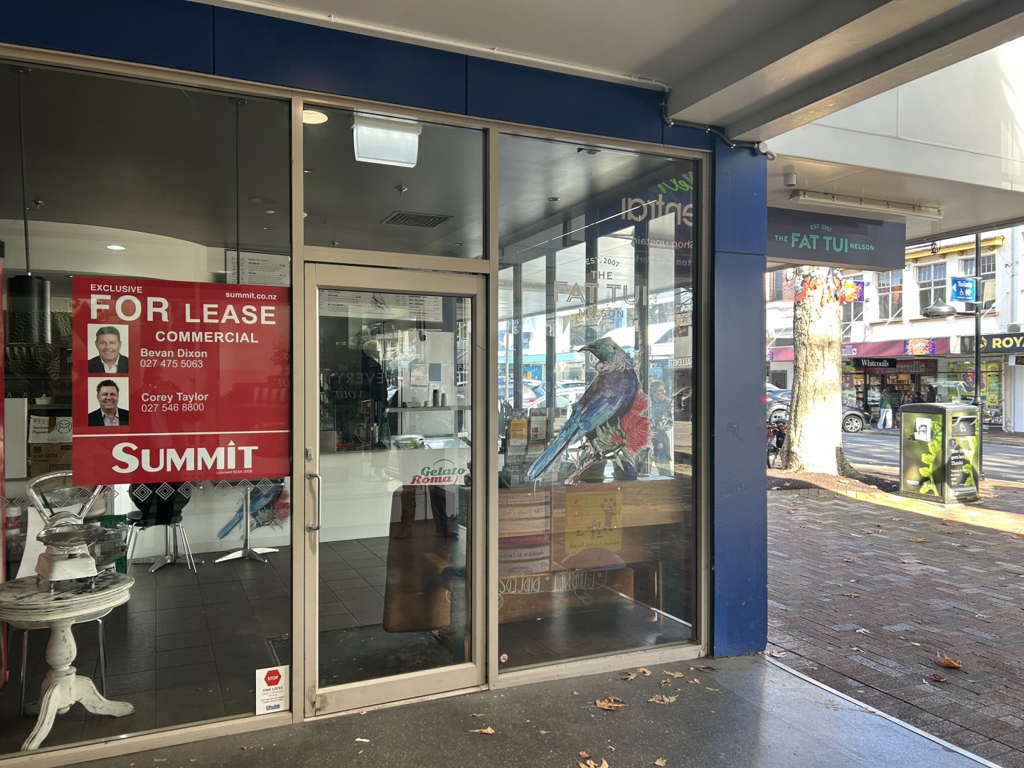 219 Trafalgar Street, Nelson #3 -- listing/16266/b.jpeg