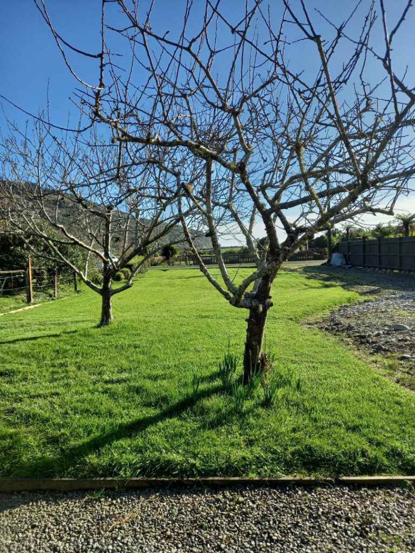 83 Glasseye Drive, Karamea #2 -- listing/16324/a.jpeg