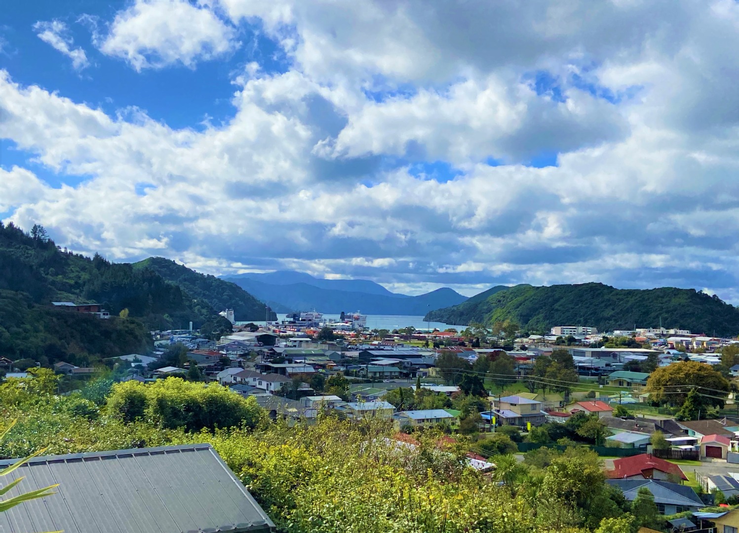 12 Dorset Street, Picton #1 -- listing/16376/RBPI109084.jpeg