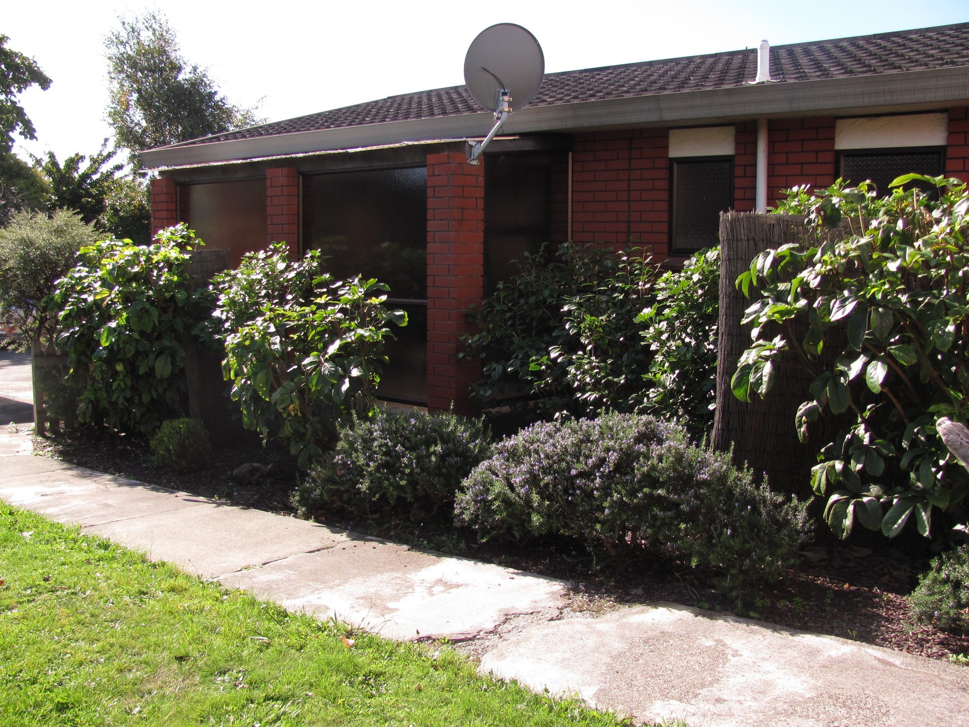 2/405 Main Road, Stoke #1 -- listing/3396/m.jpeg